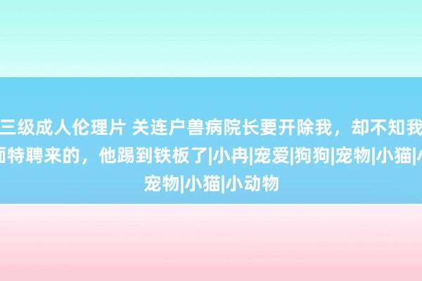 三级成人伦理片 关连户兽病院长要开除我，却不知我是上面特聘来的，他踢到铁板了|小冉|宠爱|狗狗|宠物|小猫|小动物