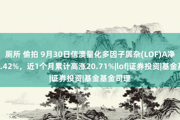 厕所 偷拍 9月30日信澳量化多因子羼杂(LOF)A净值增长9.42%，近1个月累计高涨20.71%|lof|证券投资|基金基金司理